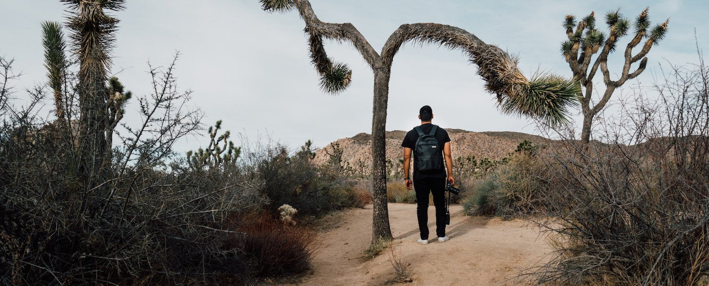 5 Reasons You Should Drop What You’re Doing And Get To Joshua Tree